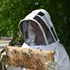 Beekeeping jacket made of breathable mesh fabric and fencing hood