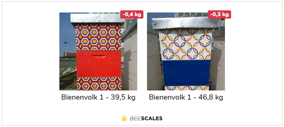 Hive scale web widgets